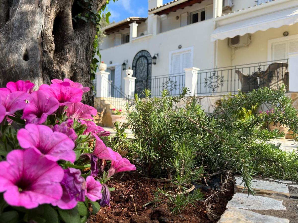Villa Ampelaki 2 Палеокастрица Экстерьер фото